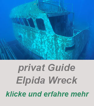 privat guide-wracktauchen-Elpida Wrack