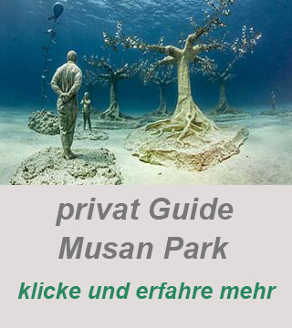 tauchen larnaca-musan unterwasser park-privater tauchguide