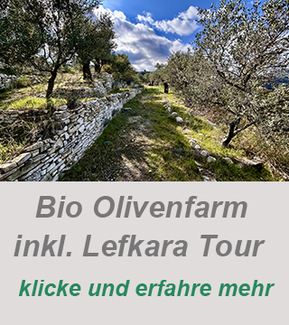 10 besten orte Zypern-private tour-troodos Berge-Lefkara-Olivenfarm