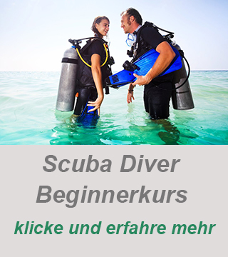 Diving-Tauchen-Zypern-Beginner-Tauchkurs-Scuba Diver