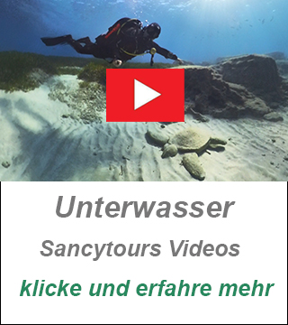 tauchen videos zypern,privater tauchguide zypern