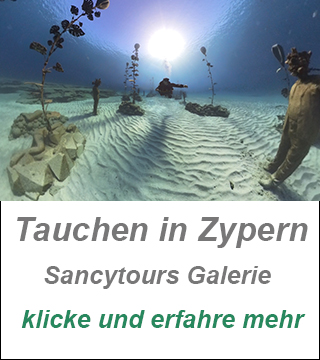 padi divecenter zypern,tauchen privat zypern