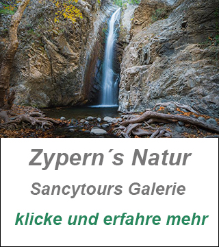 privater toursguide zypern,beste sightseeing zypern